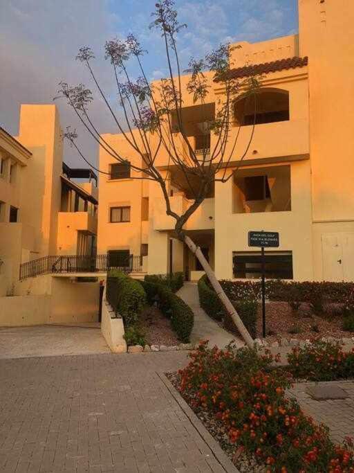 Casa Palmera San Javier Exteriér fotografie